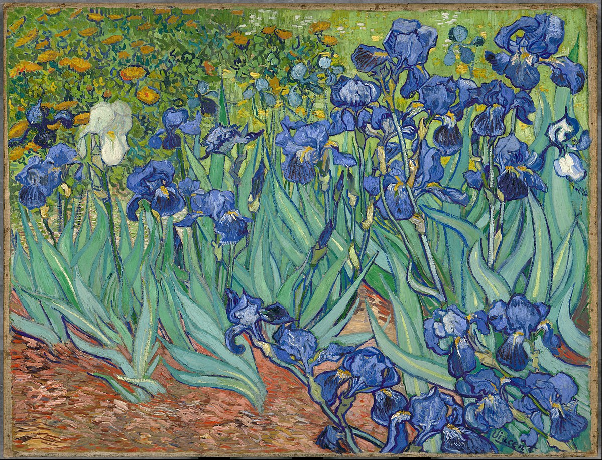 Campo de lirios azules